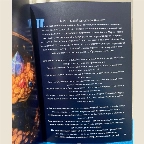 Звездные сказки image 4